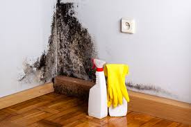 Best Mold Remediation for Healthcare Facilities  in Mill Bay, AK